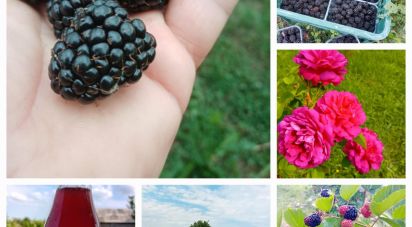 Casa indipendente 2 locali di 70 m² in Cafasse (10070)