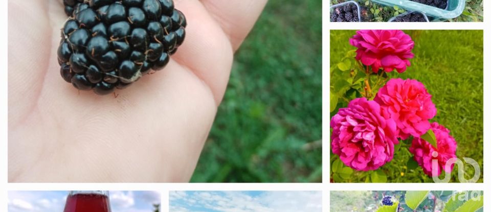 Townhouse 2 rooms of 70 m² in Cafasse (10070)