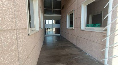 Negozio / locale commerciale di 595 m² in Casalmaggiore (26041)