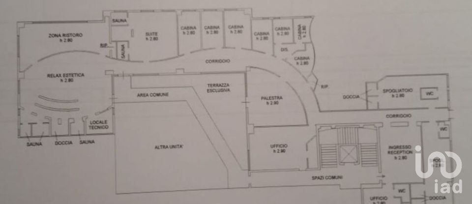 Shop / premises commercial of 595 m² in Casalmaggiore (26041)