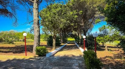 Trullo 6 locali di 92 m² in Martina Franca (74015)