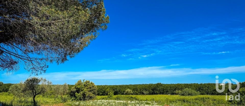 Trullo 6 locali di 92 m² in Martina Franca (74015)