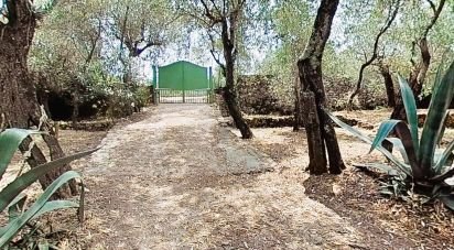 Casa indipendente / Villa 10 locali di 191 m² in Portovenere (19025)