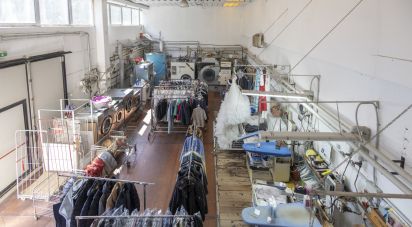 Retail property of 365 m² in Castelfidardo (60022)