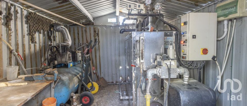 Attività locali di 365 m² in Castelfidardo (60022)