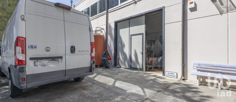 Attività locali di 365 m² in Castelfidardo (60022)
