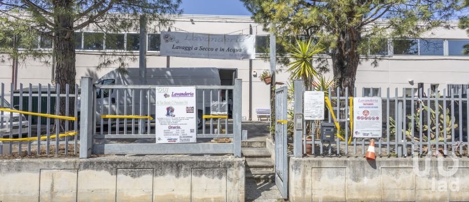 Attività locali di 365 m² in Castelfidardo (60022)