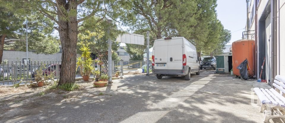 Attività locali di 365 m² in Castelfidardo (60022)