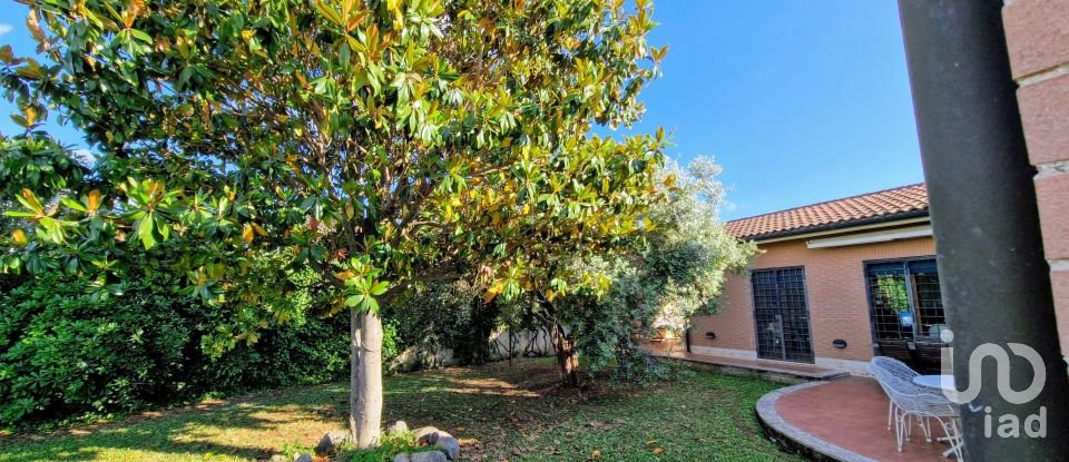Farm 9 rooms of 200 m² in Roma (00128)