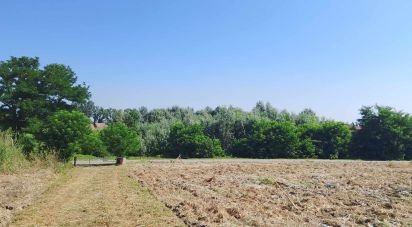 Villa Bifamiliare 7 locali di 125 m² in Nizza Monferrato (14049)