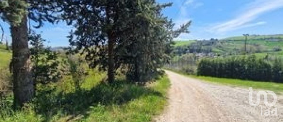 Rustico 15 locali di 703 m² in Montedinove (63069)