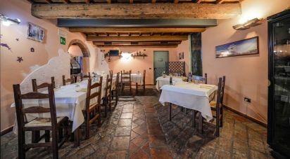 Ristorante di 982 m² in Migliaro (44020)