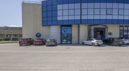 Uffici di 192 m² in Osimo (60027)