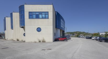 Uffici di 192 m² in Osimo (60027)