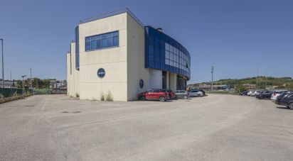 Uffici di 192 m² in Osimo (60027)