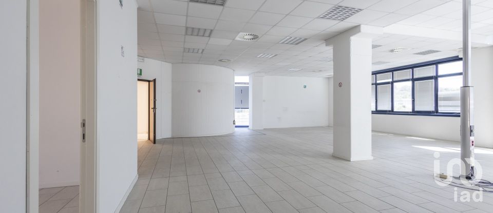 Uffici di 192 m² in Osimo (60027)