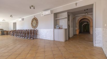 Restaurant of 292 m² in Castelfidardo (60022)