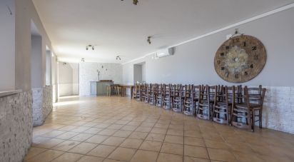 Restaurant of 292 m² in Castelfidardo (60022)