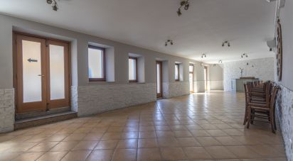 Restaurant of 292 m² in Castelfidardo (60022)