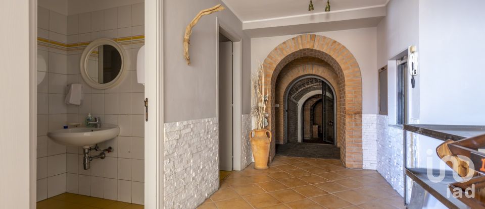 Ristorante di 292 m² in Castelfidardo (60022)