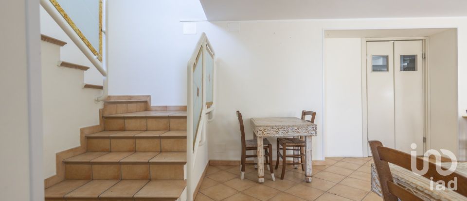 Ristorante di 292 m² in Castelfidardo (60022)