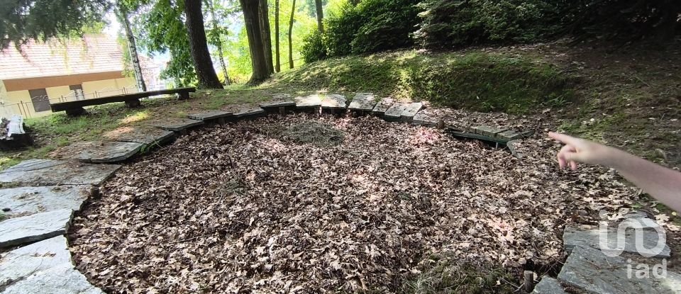 Casa indipendente 15 locali di 600 m² in Pettinengo (13843)