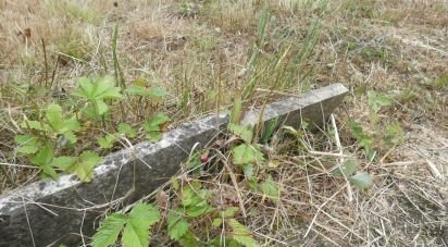 Village house 7 rooms of 103 m² in Carro (19012)