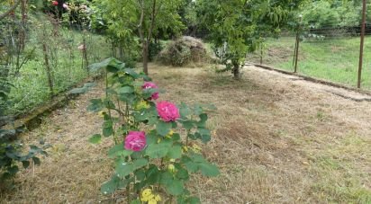 Village house 7 rooms of 103 m² in Carro (19012)