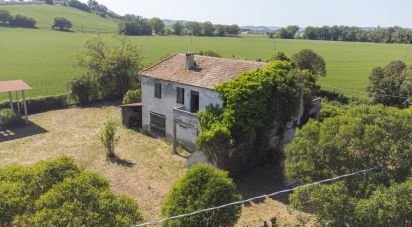 Casa indipendente / Villa 4 locali di 275 m² in Osimo (60027)