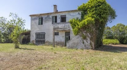 Casa indipendente / Villa 4 locali di 275 m² in Osimo (60027)