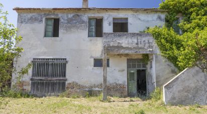 Casa indipendente / Villa 4 locali di 275 m² in Osimo (60027)