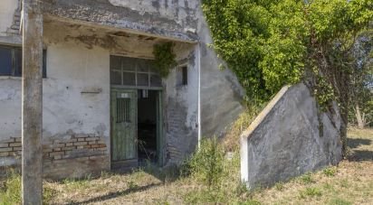 Casa indipendente / Villa 4 locali di 275 m² in Osimo (60027)