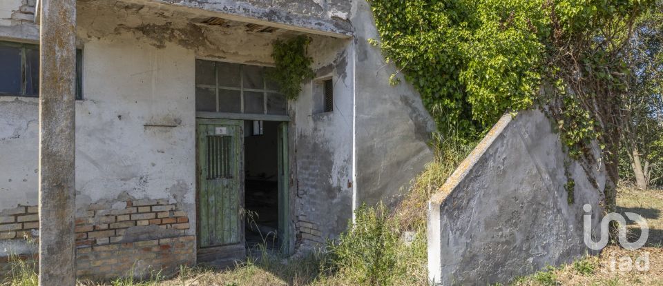 Casa indipendente / Villa 4 locali di 275 m² in Osimo (60027)