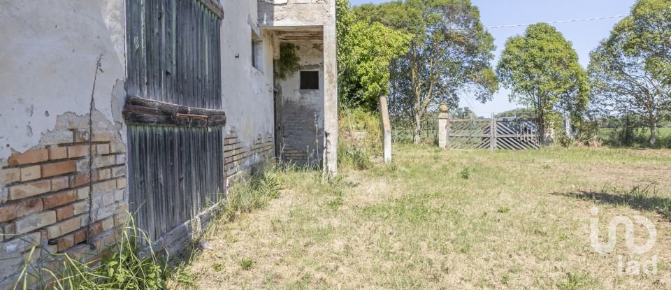 Casa indipendente / Villa 4 locali di 275 m² in Osimo (60027)