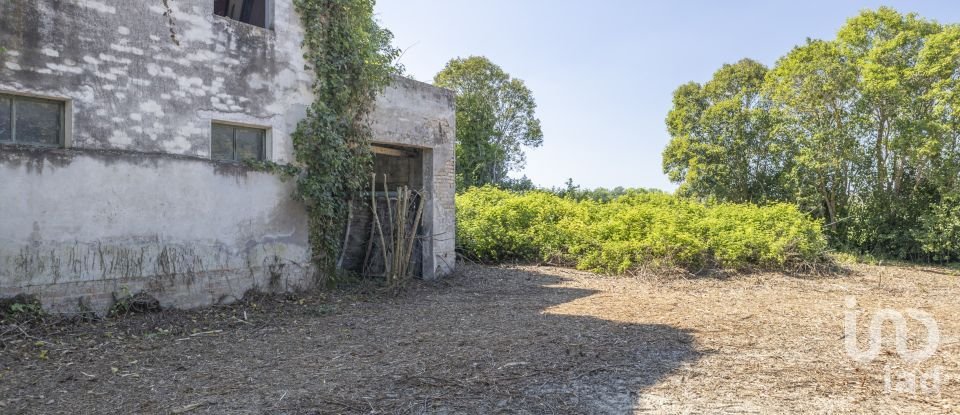 Casa indipendente / Villa 4 locali di 275 m² in Osimo (60027)