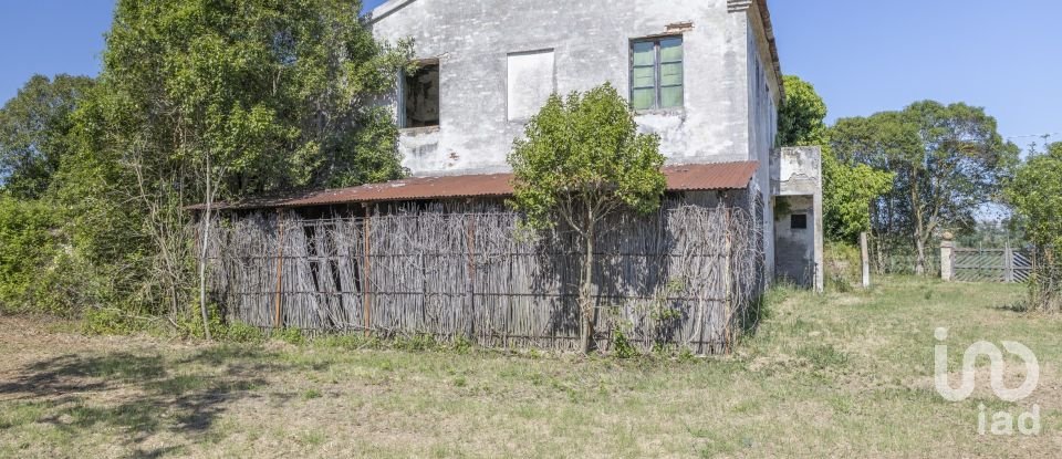 Casa indipendente / Villa 4 locali di 275 m² in Osimo (60027)