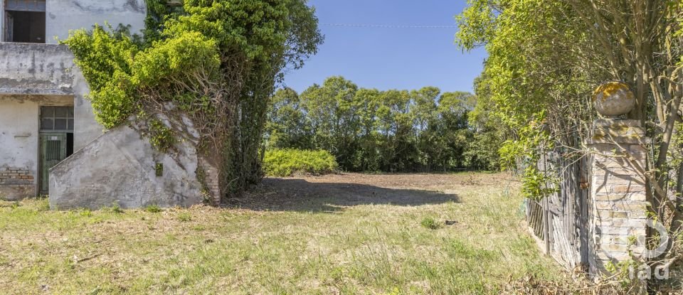 Casa indipendente / Villa 4 locali di 275 m² in Osimo (60027)