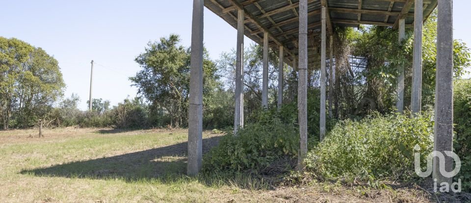 Casa indipendente / Villa 4 locali di 275 m² in Osimo (60027)