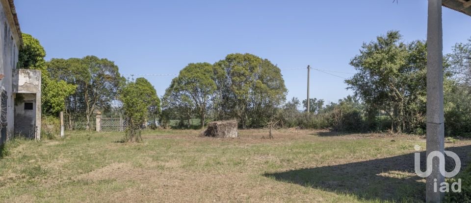 Casa indipendente / Villa 4 locali di 275 m² in Osimo (60027)