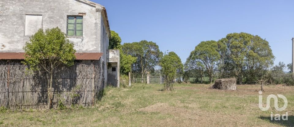 Casa indipendente / Villa 4 locali di 275 m² in Osimo (60027)