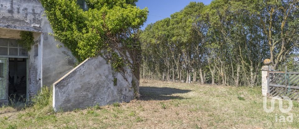 Casa indipendente / Villa 4 locali di 275 m² in Osimo (60027)