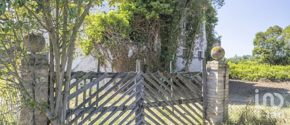 Casa indipendente / Villa 4 locali di 275 m² in Osimo (60027)