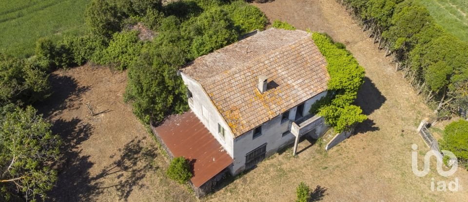 Casa indipendente / Villa 4 locali di 275 m² in Osimo (60027)