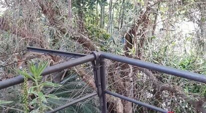 Villa Bifamiliare 6 locali di 161 m² in Loano (17025)