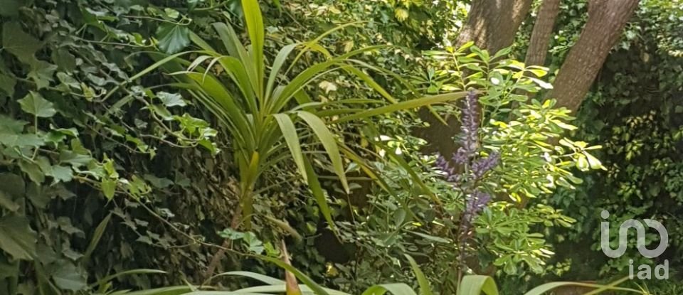 House boat 6 rooms of 161 m² in Loano (17025)