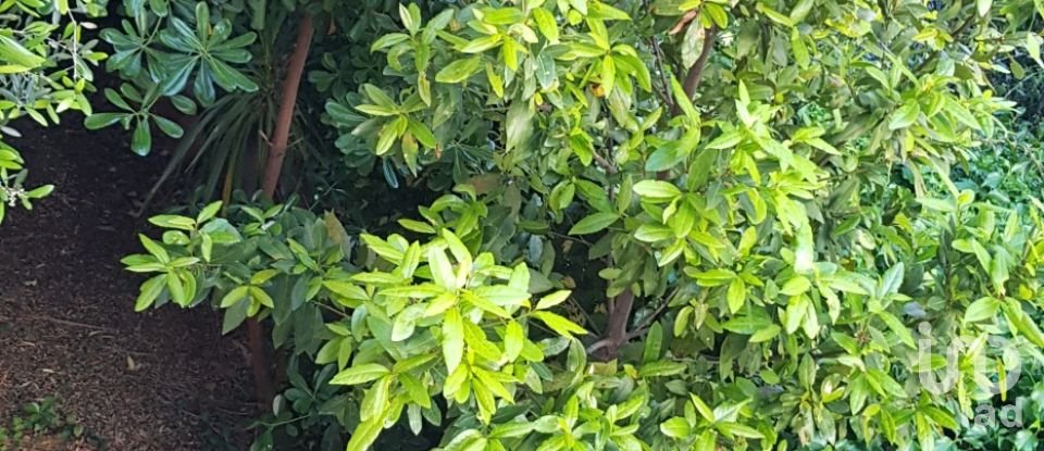 House boat 6 rooms of 161 m² in Loano (17025)