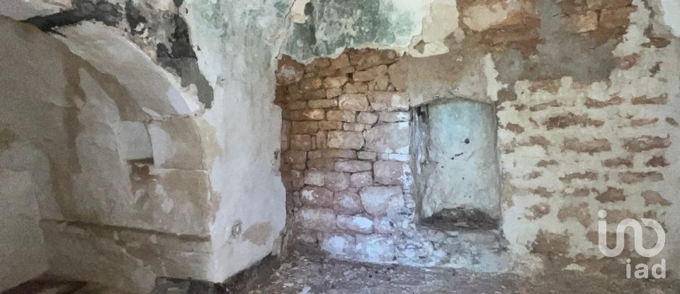 Horses property 2 rooms of 50 m² in Ceglie Messapica (72013)