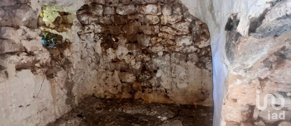 Horses property 2 rooms of 50 m² in Ceglie Messapica (72013)