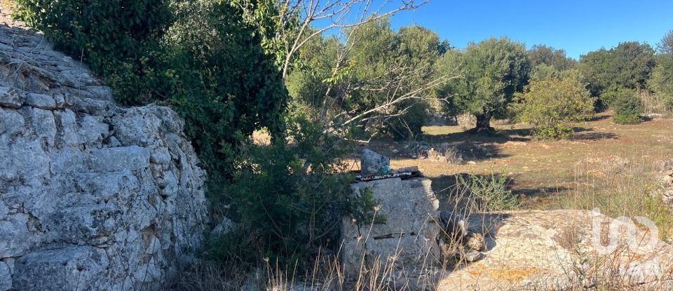 Horses property 2 rooms of 50 m² in Ceglie Messapica (72013)