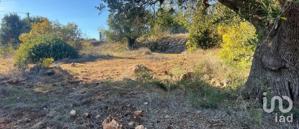 Horses property 2 rooms of 50 m² in Ceglie Messapica (72013)